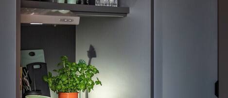 Una cocina compacta con horno integrado, un lavabo y una encimera con una planta en maceta.