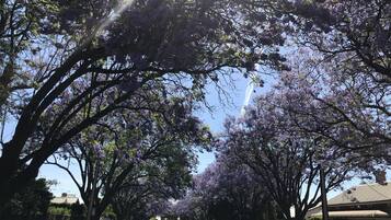 Third-party on-site parking