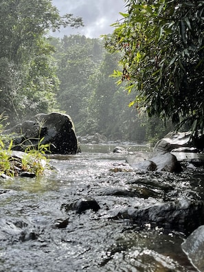 A river flowing through a forested area with rocks and vegetation. - Guest Favorite • “True Oceanfront” Luquillo Condo • Walk to Kioskos & El Yunque (Playa Fortuna)