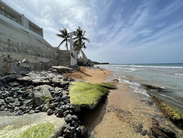 A coastal walkway with a concrete wall, palm trees, and a sandy beach. - Guest Favorite • “True Oceanfront” Luquillo Condo • Walk to Kioskos & El Yunque (Playa Fortuna)