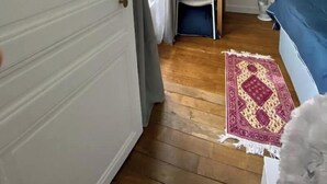 Una habitación con una cama, un escritorio, una silla, un televisor y una alfombra.