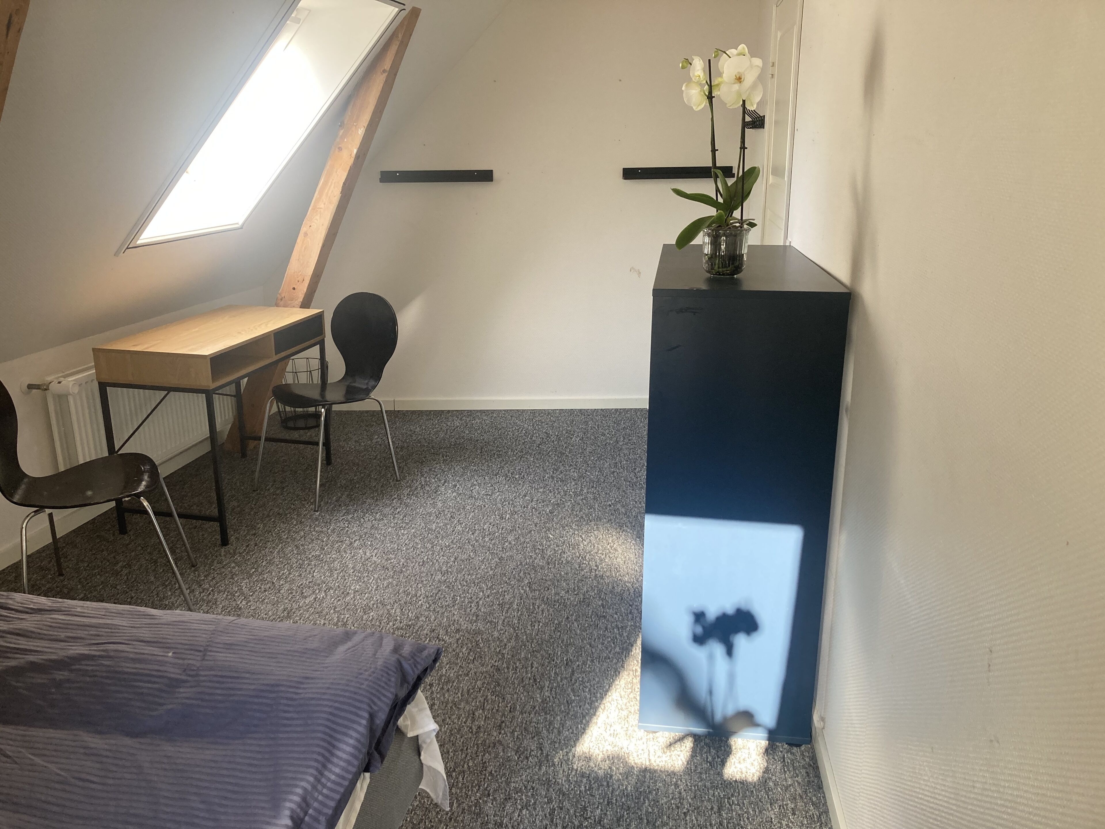 客室