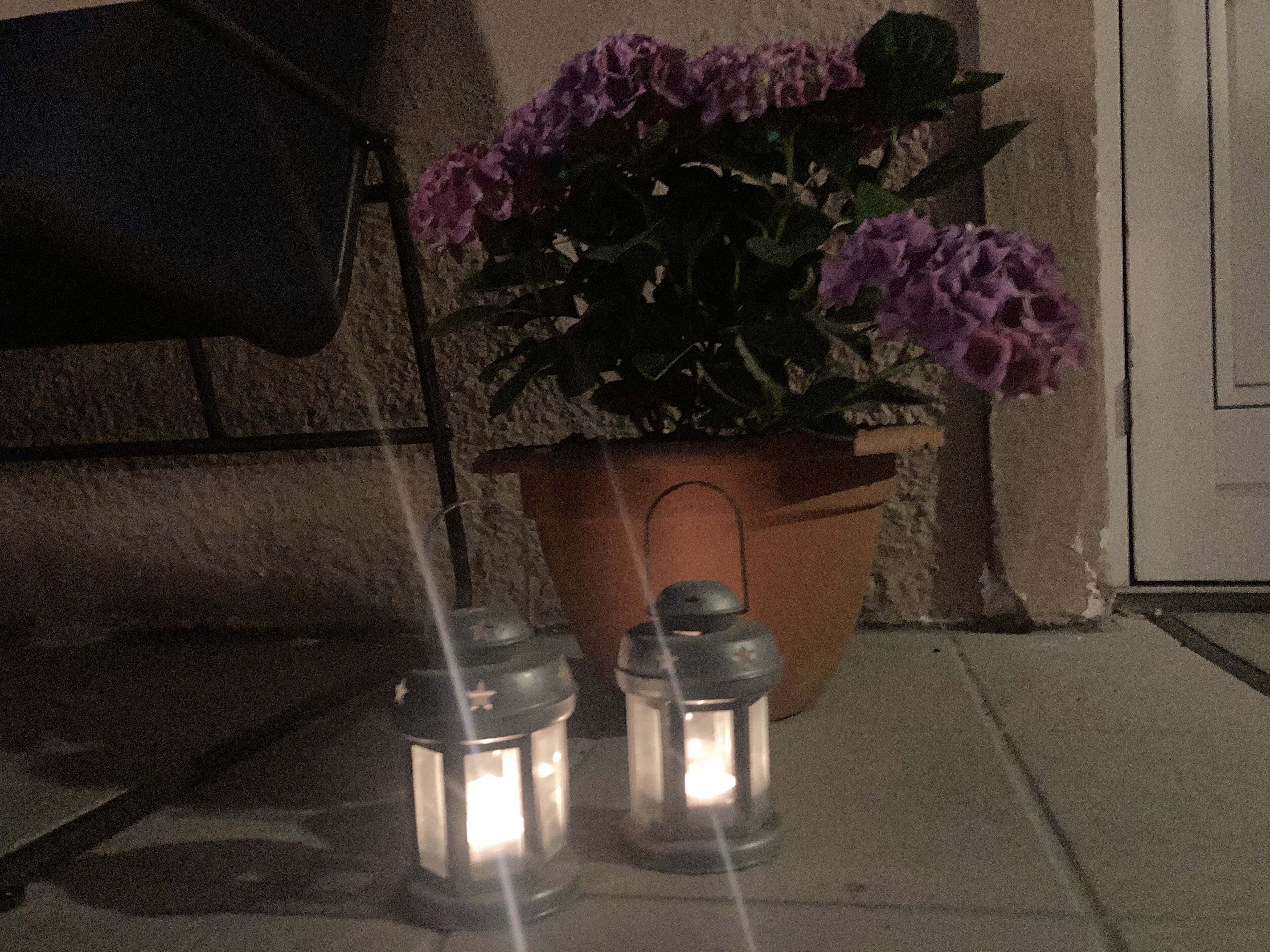 Ruukussa oleva kasvi, jossa on violetit kukat, ja kaksi valaistua lyhtyä laatoitetulla lattialla.