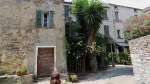 Une rue étroite bordée d’immeubles en pierre, avec un palmier et des plantes en pot.