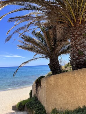 Una palmera junto a una playa con agua azul cristalina y una orilla arenosa.