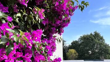 DĂ©tail de lâextĂ©rieur