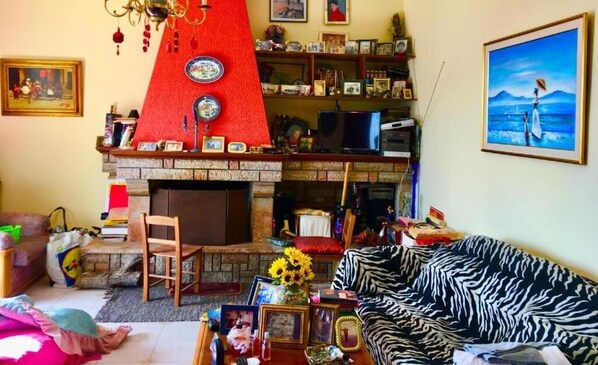 A living room with a fireplace, a zebra-patterned sofa, and a bookshelf filled with books and decorative items. - DelphiCENTER-penthouse-celebrity V.I.P (Delphi)