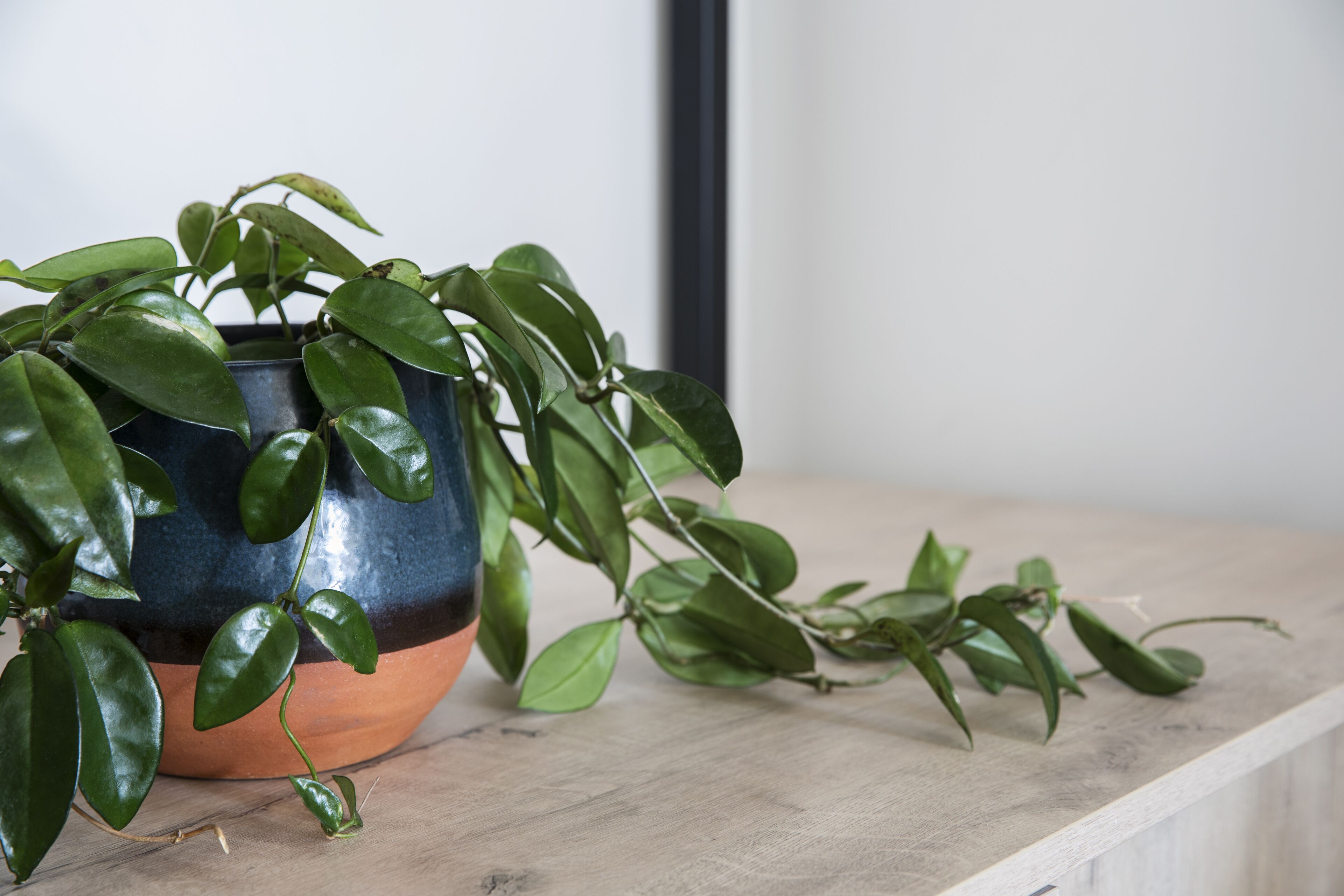 Photo - Home Suite Hotels Station House