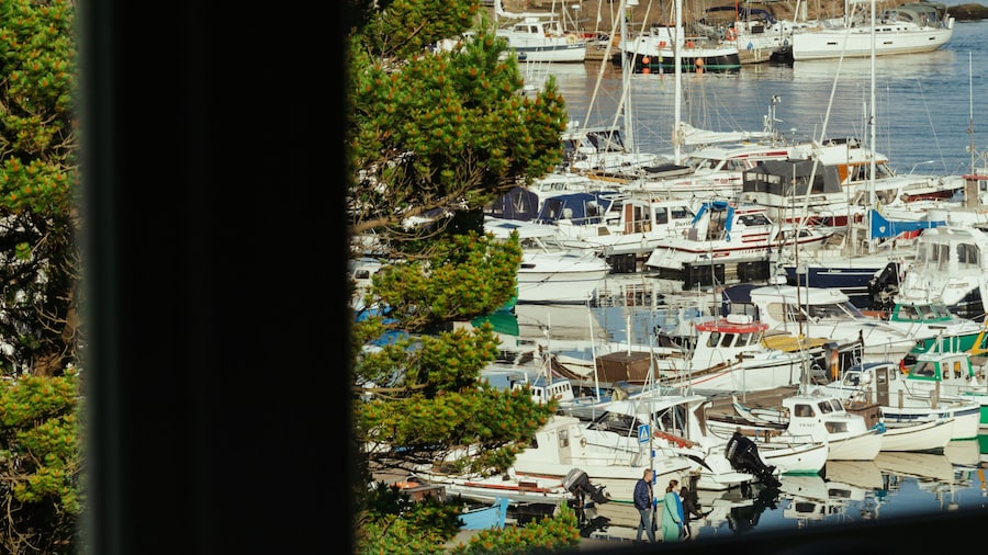 Large Penthouse Apt - Downtown - Marina