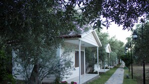 Exterior - Asssosa Otel (Ayvacik)