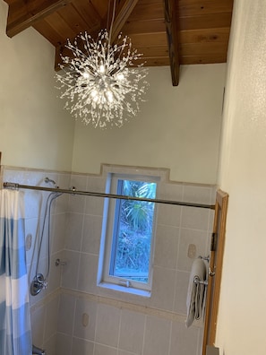 Shower, towels, toilet paper