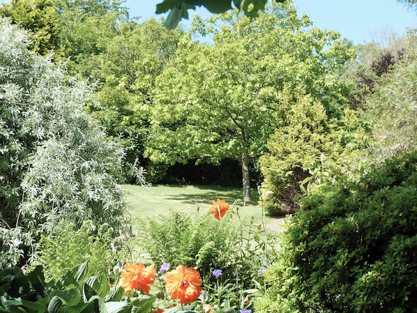 A garden with various plants and flowers, a lawn, and a tree in the background.