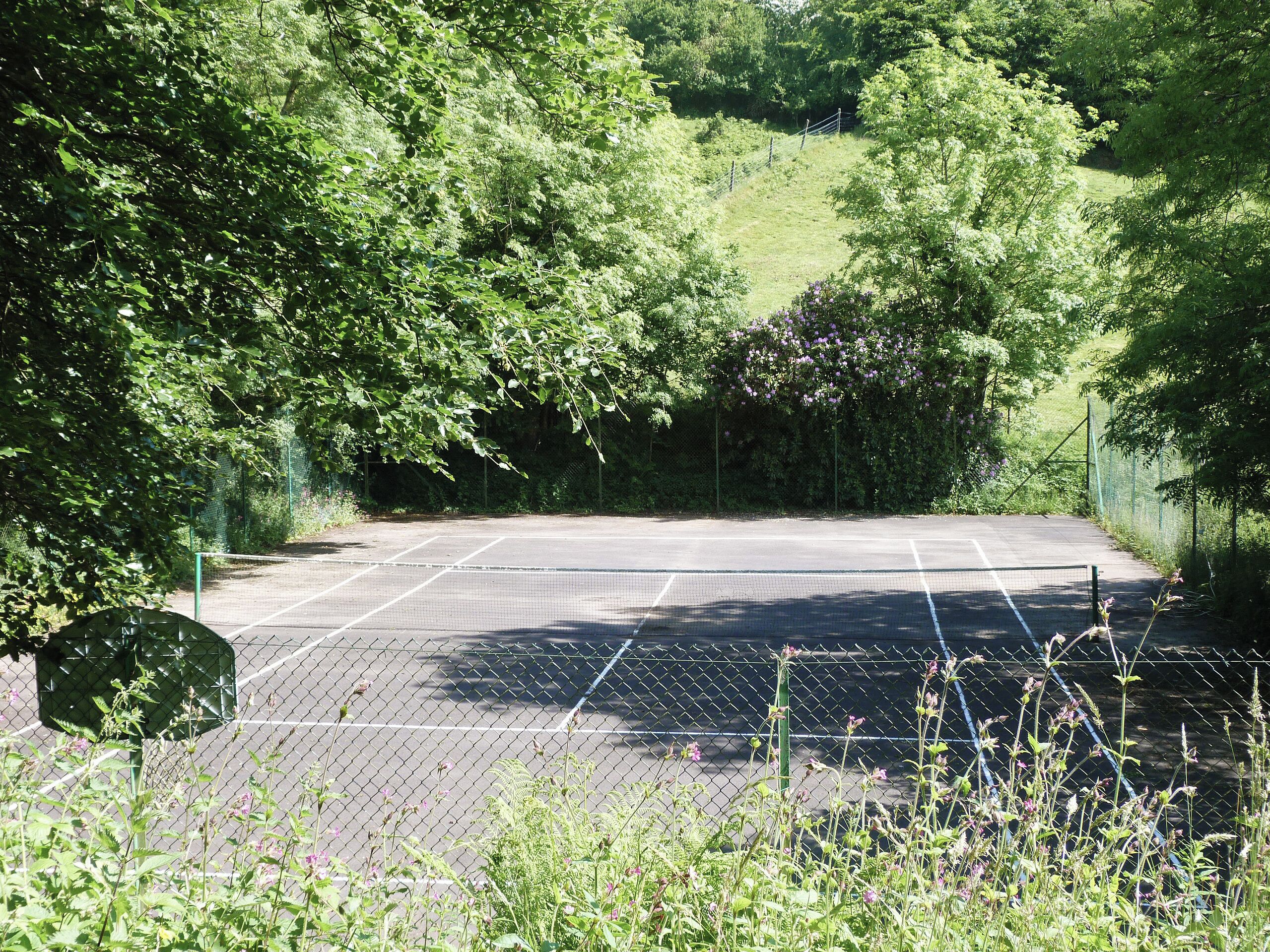 An outdoor tennis court surrounded by dense greenery.