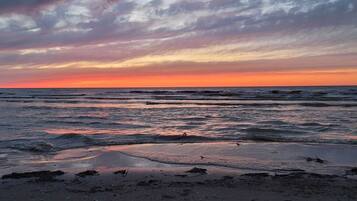 Playa en los alrededores y camastros