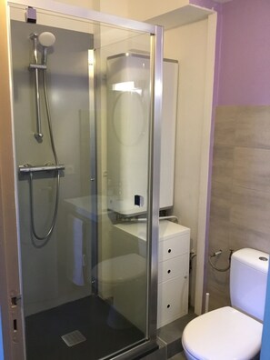 Shower, hair dryer, soap, toilet paper - APPARTEMENT VACANCES LAGUIOLE (Laguiole)