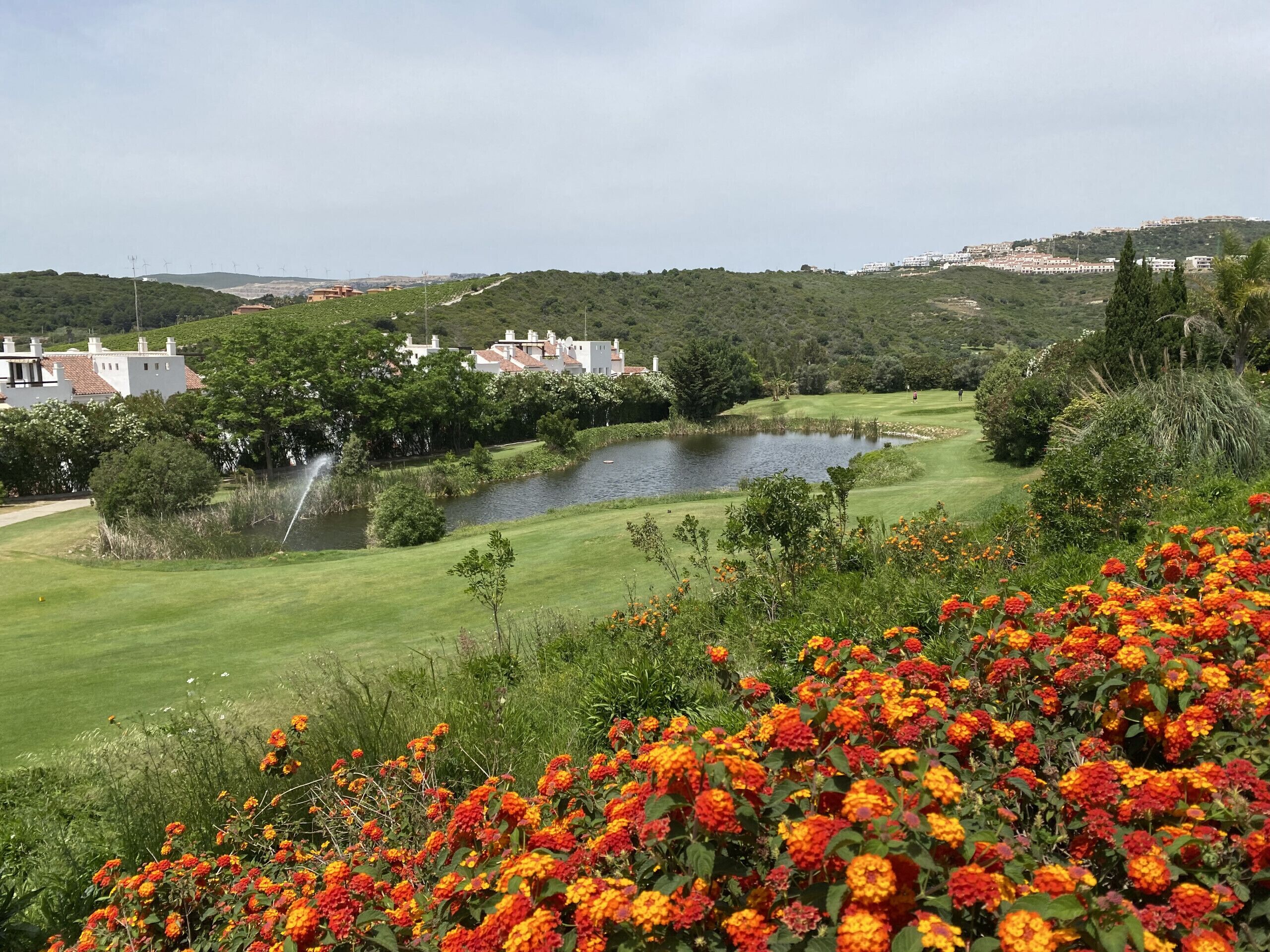 Golfe