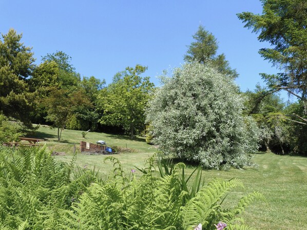 A grassy area with a picnic table, a barbecue grill, and a large tree.