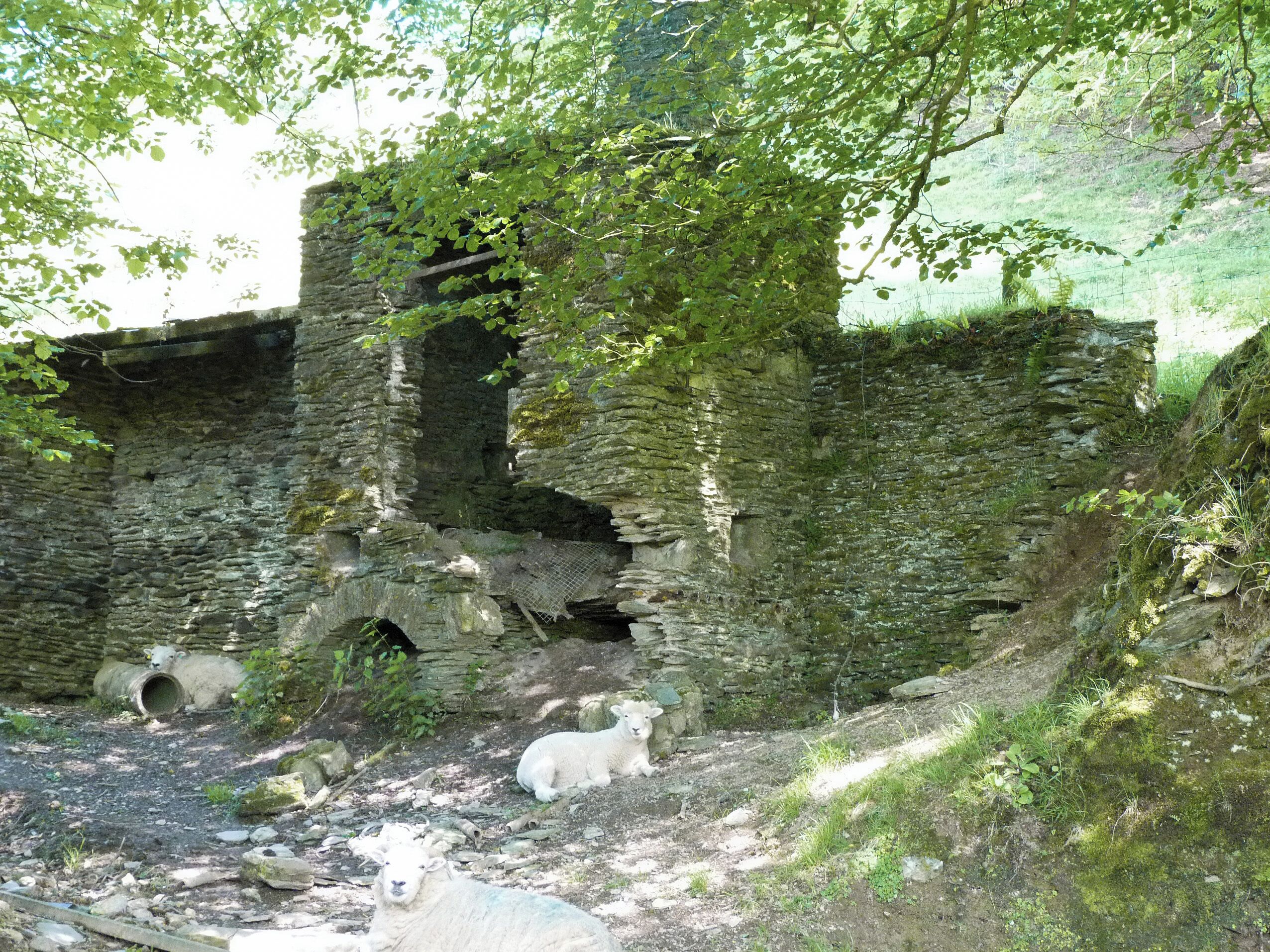 Parco della struttura