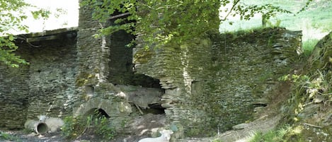 Terrain de lâhĂ©bergement