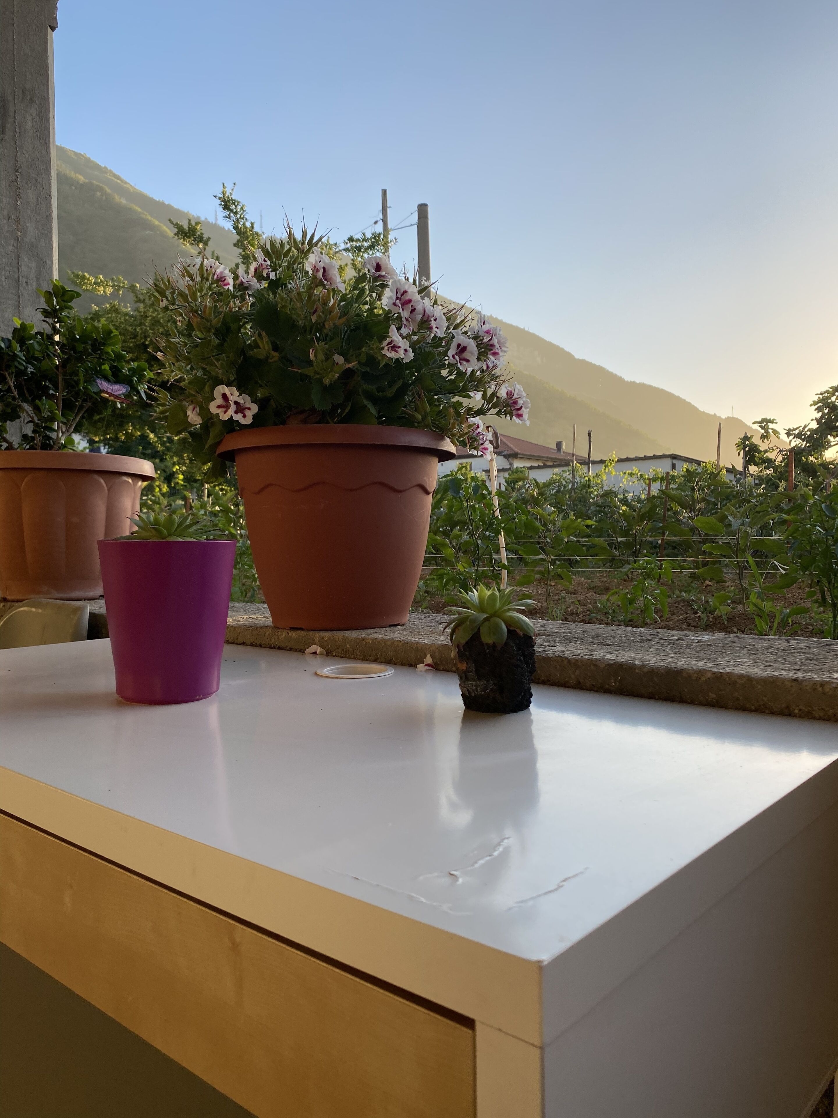 Parco della struttura