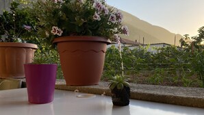 A table with potted plants and a purple cup. - Casa Antonia-in a strategic area to visit the main attractions of Naples (Piazza-Tralia-Pendolo)