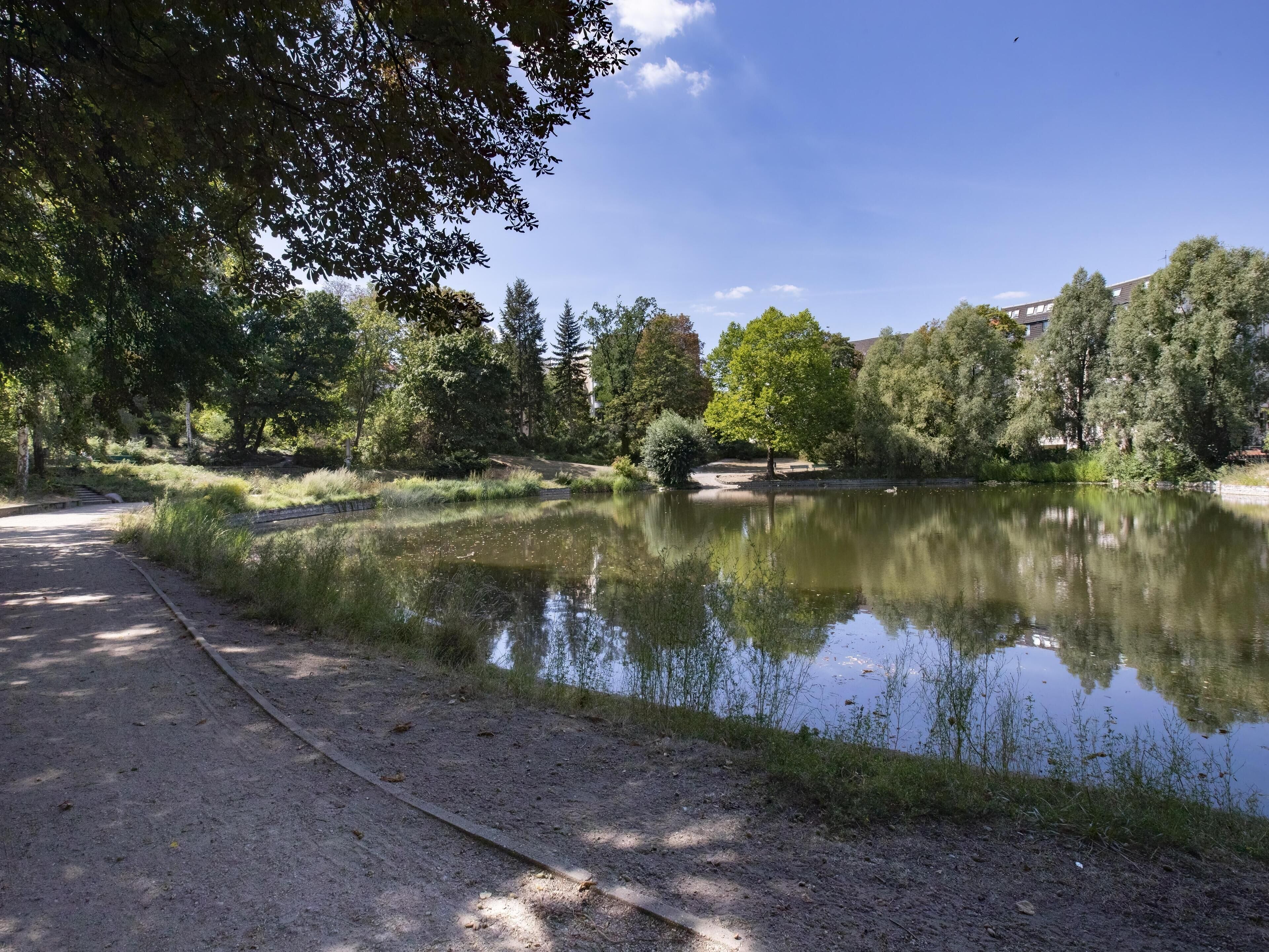 A serene park with a pond, pathways, and trees.