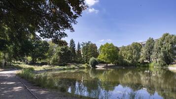 A serene park with a pond, pathways, and trees.