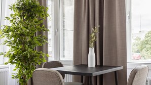 Uma área de refeições moderna com uma mesa, cadeiras e um vaso de planta.