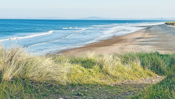 A coastal landscape with a sandy beach and grassy foreground. - 1 bedroom accommodation in Kenfig, near Porthcawl (Kenfig, near Porthcawl)