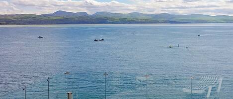 Terrain de lâhĂ©bergement