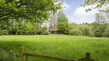 Un paysage rural avec une maison entourée d’une végétation luxuriante et un champ d’herbe.