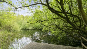 A wooden deck over a calm river surrounded by lush greenery. - Idyllic house with 360 view of nature and hottub (Dalfsen)