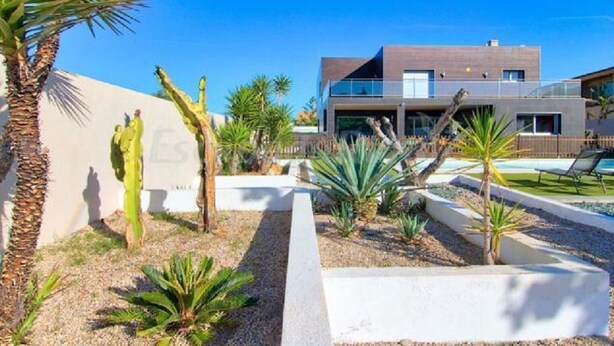 A modern house with a pool, surrounded by cacti and palm trees. - CASA DEL SOL, LUXURY AND RELAX BY THE SEA (Peñíscola)