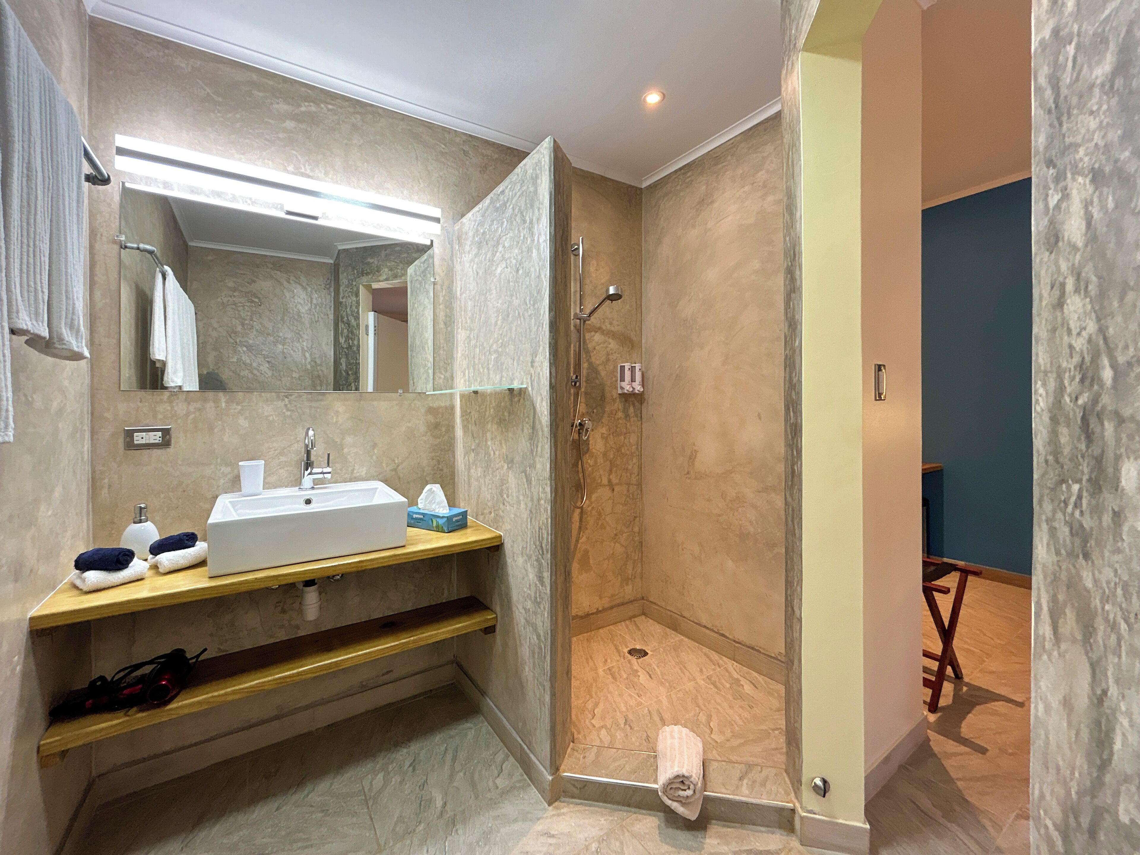 hair dryer, towels, soap, shampoo