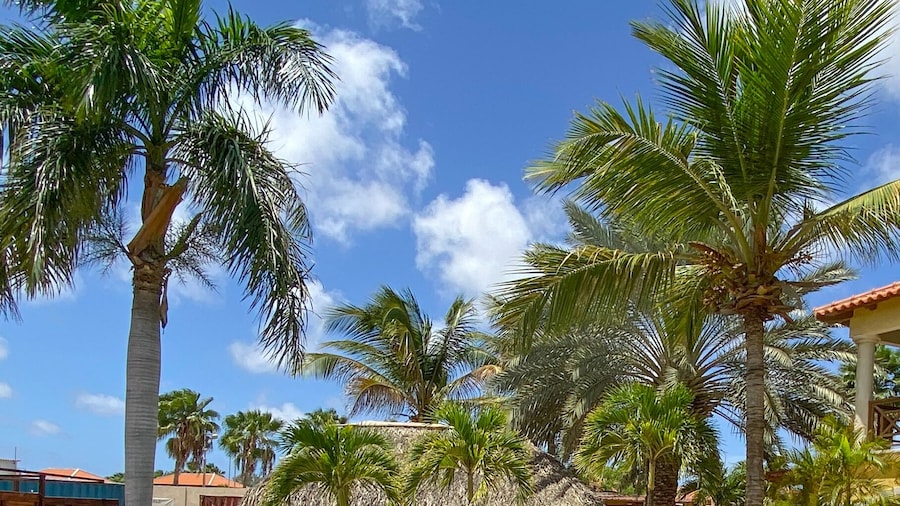 Boutique Hotel Sonrisa Bonaire - Adults Only