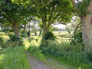 Jardines del alojamiento