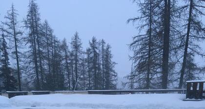 Appartement T2 Albane Vars