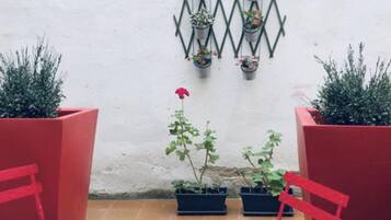 Terras