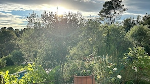 A garden with a green cushioned bench, a metal gate, and a pool in the background. - Bastide sleeps 9, large secure swimming pool, not overlooked in Aix en Provence (Aix-en-Provence)