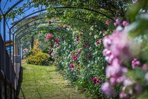 A garden with a metal archway, various flowering plants, and a well-maintained lawn.