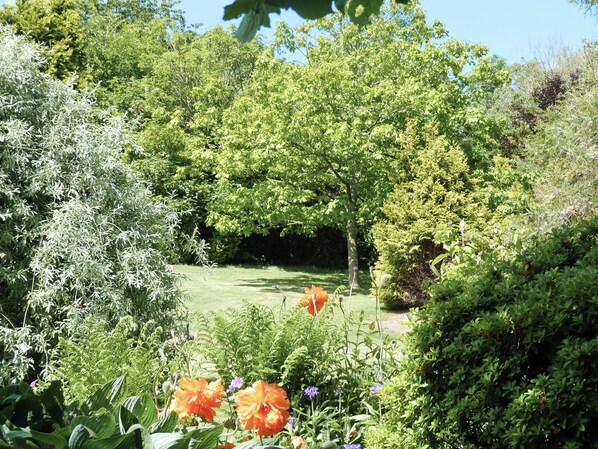 A garden with various plants and flowers, a lawn, and a tree in the center.
