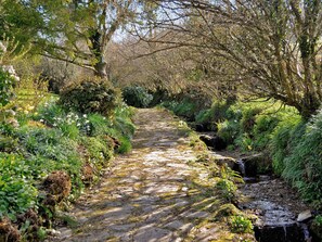 Uklassifisert bilde, 5 av 16, knapp