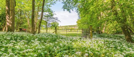 Terrein van de accommodatie