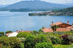 Imagen general