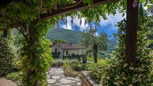 A stone pathway leading to a rustic house surrounded by lush greenery and flowering plants.