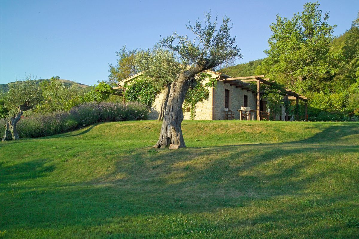 A rustic stone building with a pergola, surrounded by lush greenery and a large tree.