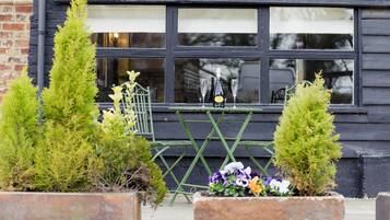 Terras