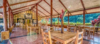 Tiny Home Above The Tree Tops