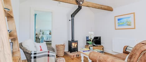 Televisión y chimenea