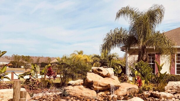 A landscaped garden with a rock feature, palm trees, and a house in the background.